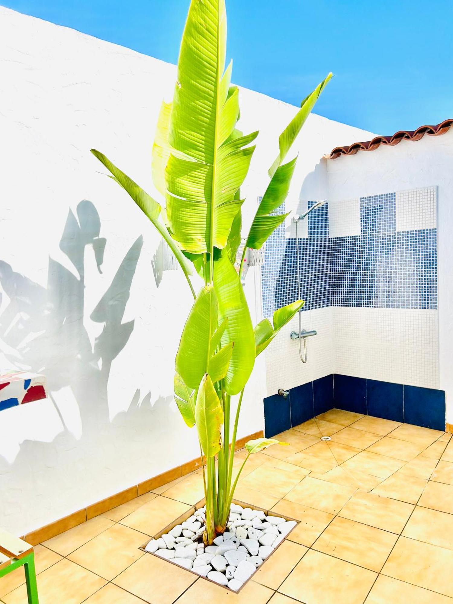 Oasis Beach Holiday Home With Jacuzzi ปลายา เดล อิงเกลส ภายนอก รูปภาพ